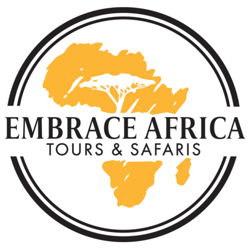 Embrace Africa